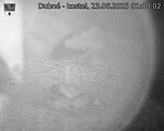 Capi_Dubne_20250623_010002.jpg