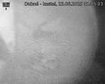 Capi_Dubne_20250623_010503.jpg