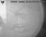 Capi_Dubne_20250623_011003.jpg