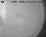 Capi_Dubne_20250623_012003.jpg