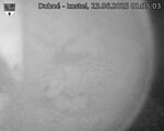 Capi_Dubne_20250623_013503.jpg