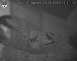 Capi_Dubne_20250623_024002.jpg