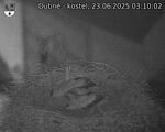 Capi_Dubne_20250623_031002.jpg