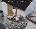 Capi_Dubne_20250623_105503.jpg