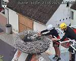 Capi_Dubne_20250623_112503.jpg