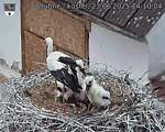 Capi_Dubne_20250623_141004.jpg