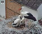 Capi_Dubne_20250623_155502.jpg