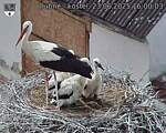 Capi_Dubne_20250623_160003.jpg
