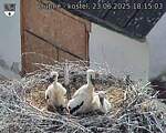 Capi_Dubne_20250623_181503.jpg