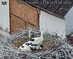 Capi_Dubne_20250623_184002.jpg