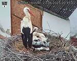 Capi_Dubne_20250623_204502.jpg