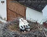 Capi_Dubne_20250623_211003.jpg