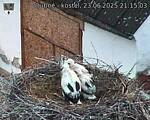 Capi_Dubne_20250623_211503.jpg
