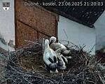 Capi_Dubne_20250623_212003.jpg