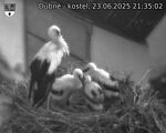 Capi_Dubne_20250623_213502.jpg