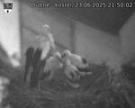Capi_Dubne_20250623_215002.jpg