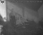 Capi_Dubne_20250623_220502.jpg