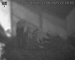 Capi_Dubne_20250623_221003.jpg