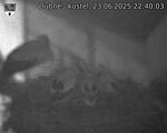 Capi_Dubne_20250623_224003.jpg