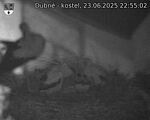 Capi_Dubne_20250623_225502.jpg