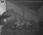 Capi_Dubne_20250623_233003.jpg