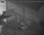 Capi_Dubne_20250623_234503.jpg