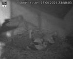 Capi_Dubne_20250623_235003.jpg