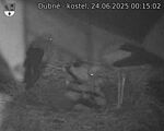 Capi_Dubne_20250624_001502.jpg