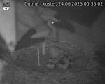 Capi_Dubne_20250624_003502.jpg