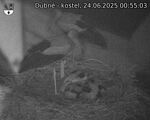 Capi_Dubne_20250624_005503.jpg