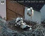 Capi_Dubne_20250624_213003.jpg