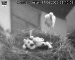 Capi_Dubne_20250624_214002.jpg