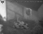 Capi_Dubne_20250624_220003.jpg