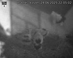 Capi_Dubne_20250624_220502.jpg