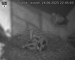 Capi_Dubne_20250624_224503.jpg