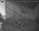 Capi_Dubne_20250624_230003.jpg