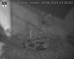 Capi_Dubne_20250624_232003.jpg