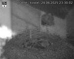 Capi_Dubne_20250624_233002.jpg