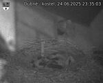 Capi_Dubne_20250624_233503.jpg