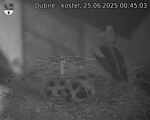 Capi_Dubne_20250625_004503.jpg