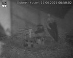 Capi_Dubne_20250625_005002.jpg