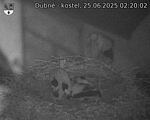 Capi_Dubne_20250625_022002.jpg
