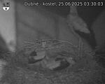 Capi_Dubne_20250625_033003.jpg