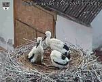 Capi_Dubne_20250625_172502.jpg