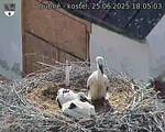 Capi_Dubne_20250625_180503.jpg