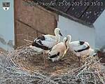 Capi_Dubne_20250625_203503.jpg