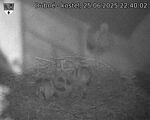 Capi_Dubne_20250625_224002.jpg