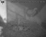 Capi_Dubne_20250625_225002.jpg