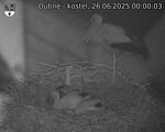 Capi_Dubne_20250626_000003.jpg