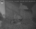 Capi_Dubne_20250626_000503.jpg